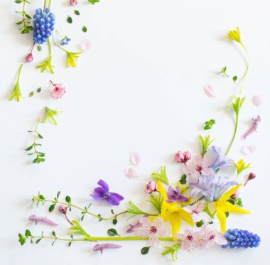 Beyaz arka planda yabani bahar çiçekleri