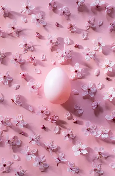 Huevo Pascua Con Flores Cereza Sobre Fondo Rosa — Foto de Stock