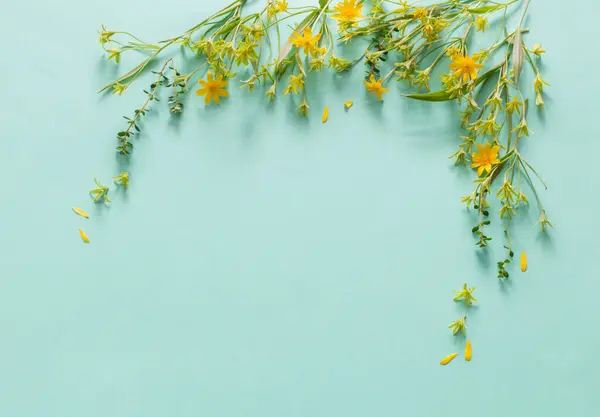 Дикі Весняні Квіти Паперовому Фоні Ліцензійні Стокові Фото
