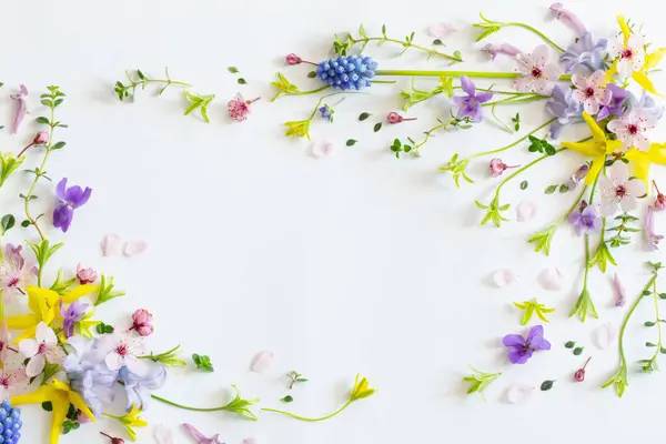 Beyaz Arka Planda Yabani Bahar Çiçekleri Telifsiz Stok Fotoğraflar