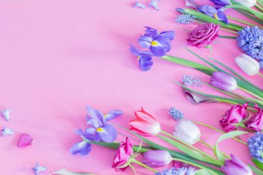 Pembe arka planda güzel bahar çiçekleri