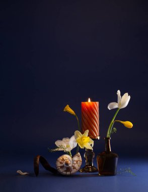 Hayat bahar çiçekleri, deniz kabuğu ve koyu mavi arka planda yanan mum arasında