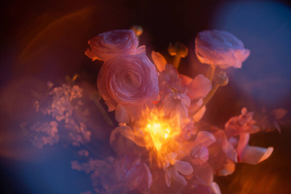 весенние цветы закрываются цветным светом