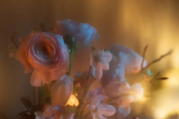 Bahar Çiçekleri Renk Işıklarıyla Kaplanır Telifsiz Stok Imajlar