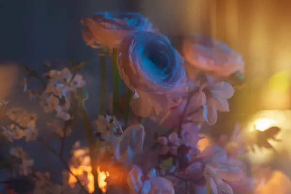 Bahar Çiçekleri Renk Işıklarıyla Kaplanır Telifsiz Stok Fotoğraflar