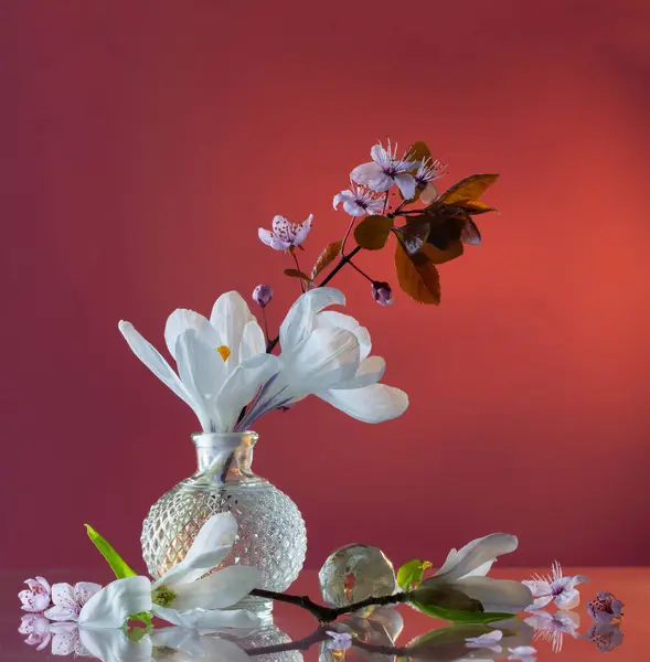 Spring White Flowers Glass Vase Pink Background — Stock Photo, Image
