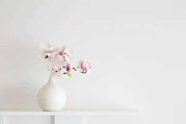 Magnólia Virágok Vázában Fehér Háttér Jogdíjmentes Stock Képek