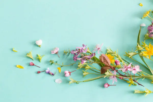 Vahşi Bahar Çiçekleri Kağıt Arkaplanda Telifsiz Stok Imajlar