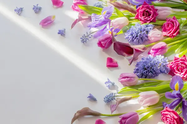 Belas Flores Primavera Fundo Branco — Fotografia de Stock