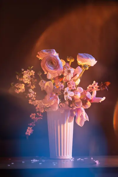 Wiosenne Kwiaty Bliska Kolorze Światła Obraz Stockowy