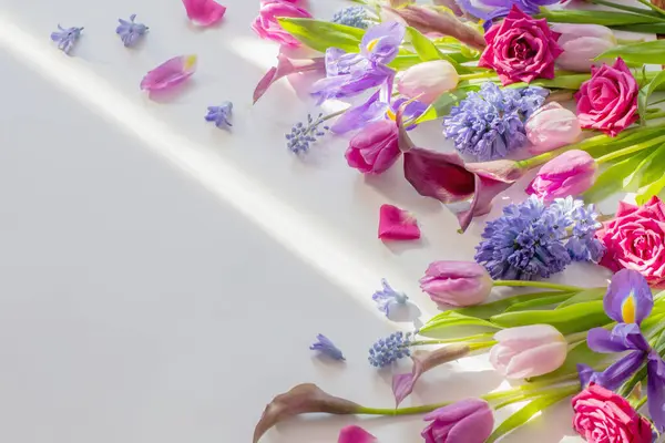 Gyönyörű Tavaszi Virágok Fehér Háttér Jogdíjmentes Stock Fotók