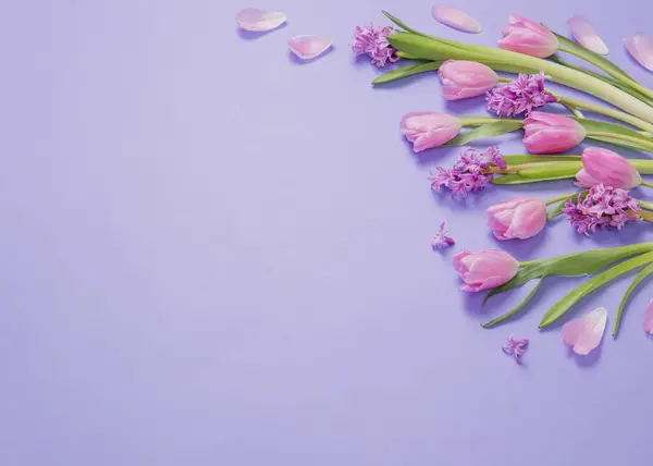 Spring Flowers Purple Paper Background — Stock Photo, Image
