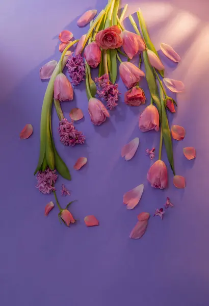 ดอกไม ชมพ ใบไม บนพ นหล งกระดาษส — ภาพถ่ายสต็อก