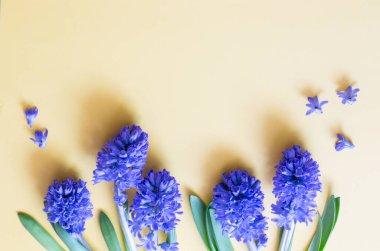 Sarı zemin üzerine mavi bahar çiçekleri