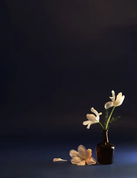 Wiosenne Kwiaty Szklanej Butelce Ciemnoniebieskim Tle Obraz Stockowy