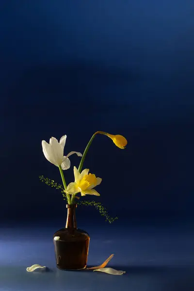 Wiosenne Kwiaty Szklanej Butelce Ciemnoniebieskim Tle Zdjęcie Stockowe