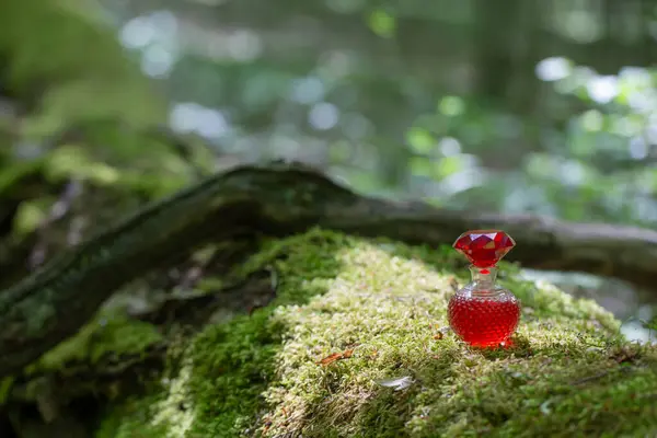 Волшебное Зелье Стеклянной Бутылке Летнем Лесу Стоковое Фото