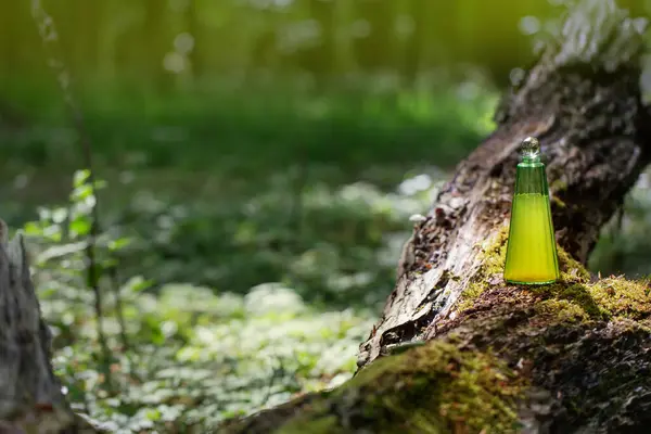 Волшебное Зелье Стеклянной Бутылке Летнем Лесу Лицензионные Стоковые Изображения