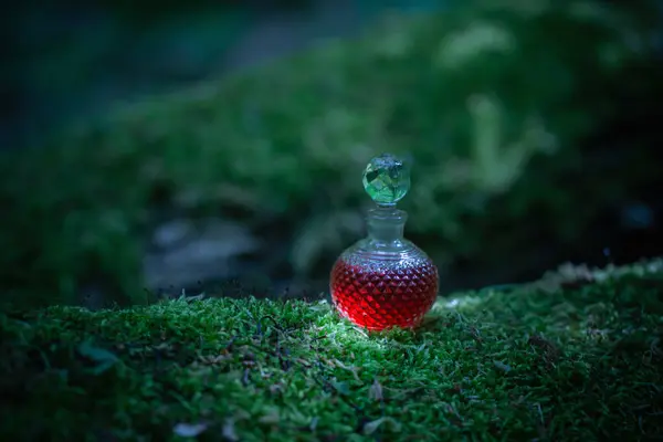 Мариканське Зілля Скляній Пляшці Літньому Лісі Стокове Фото
