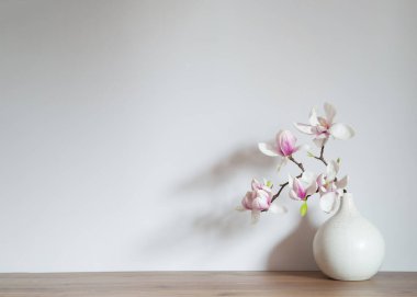 Beyaz arkaplanda vazoda manolya çiçekleri