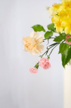 Beyaz arka planda güzel yaz çiçekleri