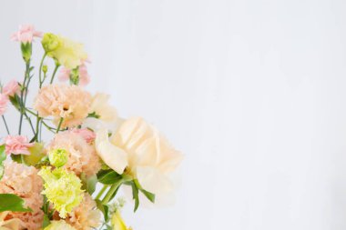 Beyaz arka planda güzel yaz çiçekleri