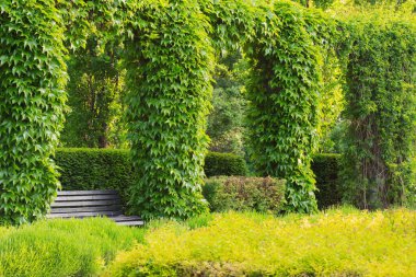 Güneşin altında güzel şehir yaz parkı