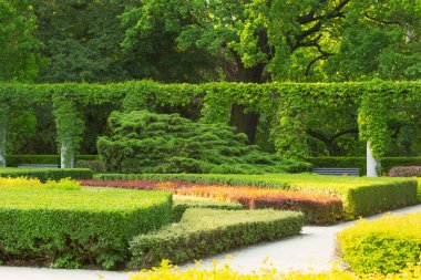 Güneşin altında güzel şehir yaz parkı