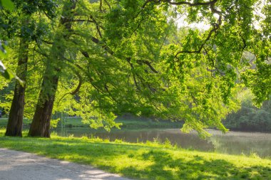 Güneşin altında güzel şehir yaz parkı