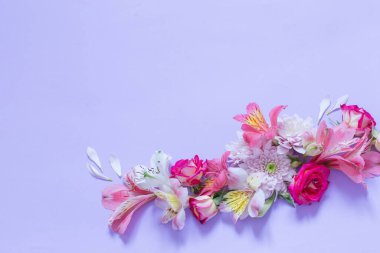 Mor arka planda alstroemerya ve kasımpatı çiçekleri