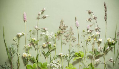Yeşil kağıttaki yabani çiçekler