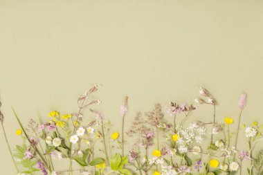 Yeşil kağıttaki yabani çiçekler