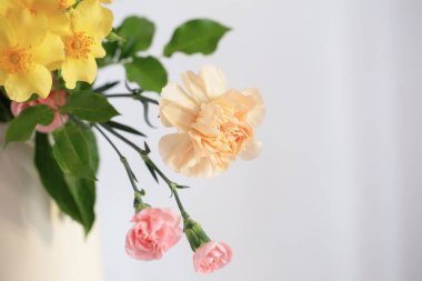 Beyaz arka planda güzel yaz çiçekleri