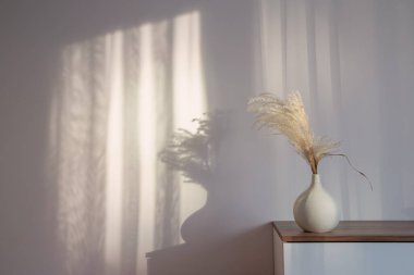 Arkaplan beyaz duvarında vazoda kuru tahıl süsleme bitkileri