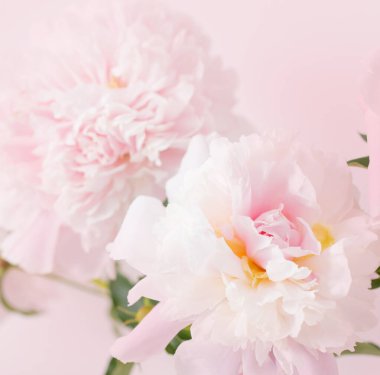 Güzel pembe piyonlar giyin