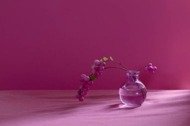 Pembe arka planda cam vazoda pembe renkli böğürtlenler 