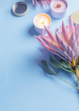 Mavi arka planda mumları olan pembe egzotik bir çiçek. 