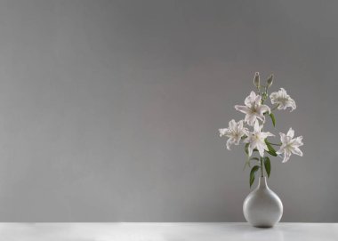 Vazoda pembe yaz çiçekleri arka planda beyaz duvar güneş ışığında