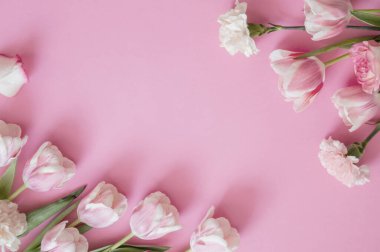 Pembe kağıt arkaplanda pembe laleler