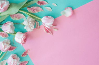 Mavi arka planda güzel pembe bahar çiçekleri
