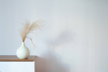 Arkaplan beyaz duvarında vazoda kuru tahıl süsleme bitkileri