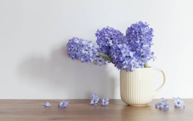 Seramik fincanda mavi bahar çiçekleri beyaz arkaplan