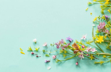 Vahşi bahar çiçekleri kağıt arkaplanda