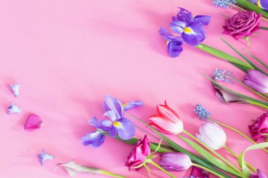 Pembe arka planda güzel bahar çiçekleri