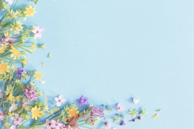 Vahşi bahar çiçekleri kağıt arkaplanda