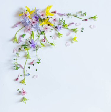 Beyaz arka planda yabani bahar çiçekleri