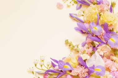 Pastel arka planda güzel bahar çiçekleri