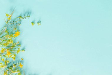 Vahşi bahar çiçekleri kağıt arkaplanda