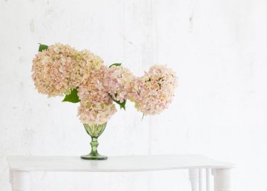 Beyaz arkaplanda yeşil camlı ortanca