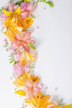 Beyaz arka planda parlak yaz çiçekleri